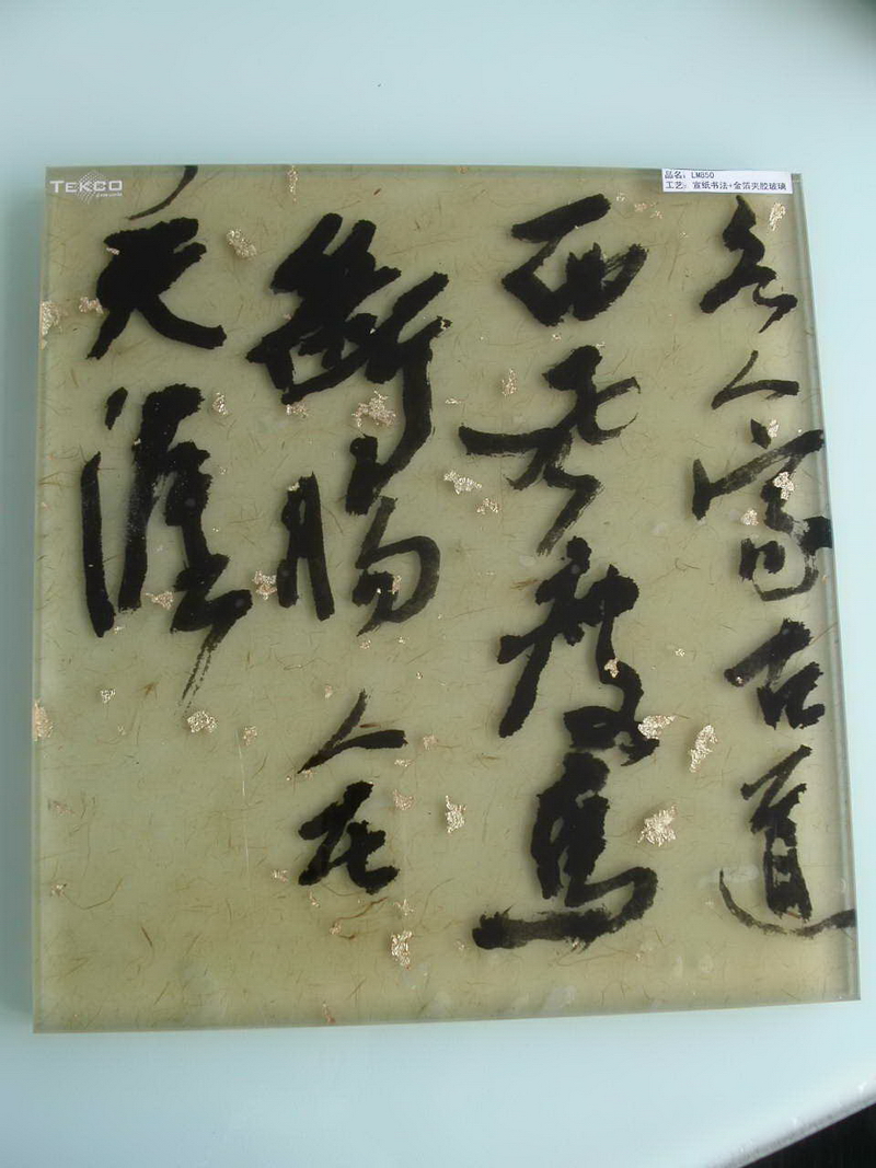 LM-850.JPG